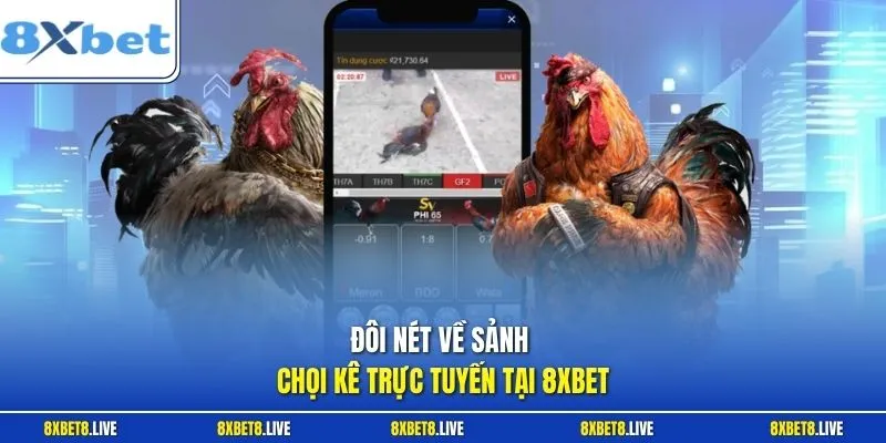 Đôi nét về sảnh chọi kê trực tuyến tại 8xbet